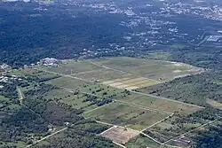 Agricultural lands in the mukim