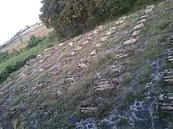 Afzulkhan's wives tomb