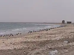 View from the coast of the Gulf of Aden in the Al Buraiqeh district in 2003