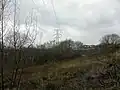 Alder Hills electricity pylons