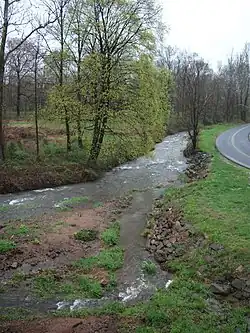 Allegheny Creek in Gibraltar, Pennsylvania