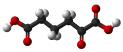 Ball and stick model of α-ketoadipic acid