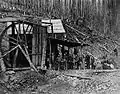 Alturas Gold Mining Company, Stout's Gulch, Lowhee Creek. 1867–1868.