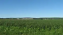 Fields in the precinct