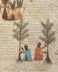 Arboriculture scene, 1229