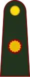 Coronel mayor (Argentine Army)[7]