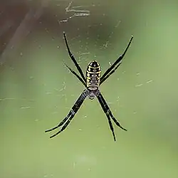 Northern Territory, Australia