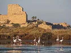 Atlit in the 21st century