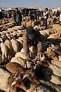 Sheep Market