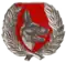 SANDF Qualification badge: Dog Handler Instructor (Service Dress)