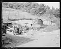 Backyard of home of Butler Phillips with family tending to farm animals, 1946