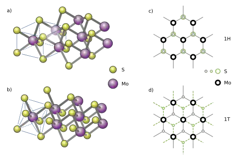 Balls and sticks model of a single layer 1H and 1T molybdenum disulfide