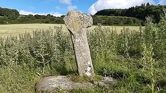 Ballysize Cross near Hollywood