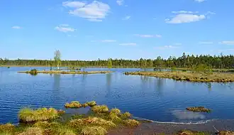 Balnas lake in the territory of Čepkeliai Marsh