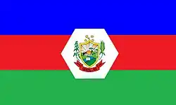 Image of a blue, red, and green flag with a crest in the middle that is framed by a white six-sided shape.