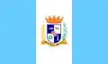 Flag of Pelotas