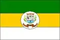 Flag of Ivolândia