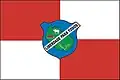 Flag of Rondon do Pará