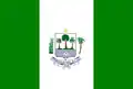 Flag of São Francisco do Piauí