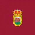 Flag of Arenas de San Pedro