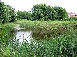 Barwick Pond off Barwick Lane near Barley Fields school (in background)
