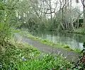 Basingstoke Canal and towpath