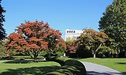 The main building in the background