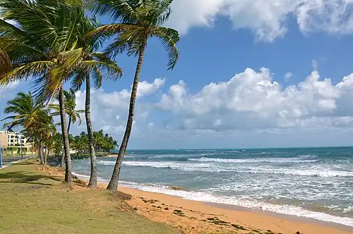 Beach in Fajardo