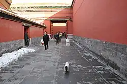 A white and black cat strolling through a wide slightly-snowed red-walled alley with people coming in the other direction