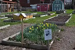Bell Demonstration and Community Garden, Gateway Greening, St. Louis, MO.