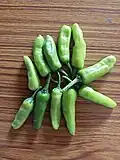 Bhiwapur Chilli in green unripened stage