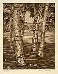 Birches and Beyond, etching, Lucioni, 1973, Smithsonian American Art Museum