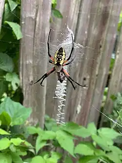 In Port&nbsp;Jervis, New&nbsp;York