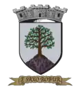 Coat of arms of Roure