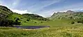 Blea Tarn and the surrounding meadows in July, with the Langdale Pikes in the background.