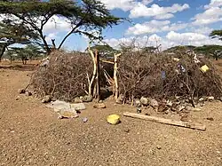 Picture of a boma enclosure constructed as a cicle of thorny acacia tree branches in a Kenyan village.