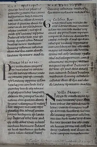 Page from the Book of Llandaff