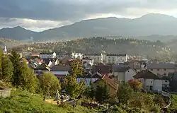 Panoramic view over Borșa