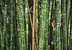 Carvings on bamboo, Australia