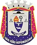 Official seal of São João Nepomuceno