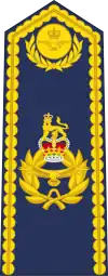 An RAF air vice-marshal's shoulder board