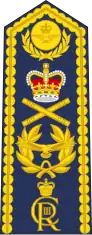 Marshal of the RAF shoulder board