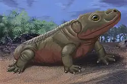 Broiliellus olsoni, a dissorophine of the early Permian of Texas