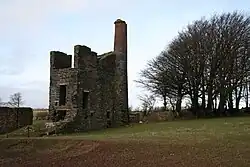 Burrow Farm iron mine and section of mineral railway trackbed, 350&nbsp;m north east of Burrow Farm