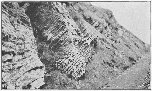 Another view of the type section.