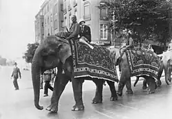 A parade of elephants with Indian trainers from the Hagenbeck show, on their way to the Berlin Zoological Garden, 1926