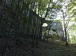 Burg Schwarzenbach, Lower Austria