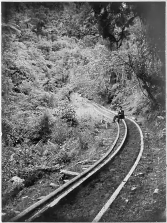 Price's Bush Tramway, 1903
