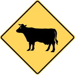 Cattle area.