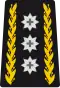 OF-8 - Lieutenant general